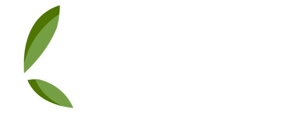 Kerala Tour Offers