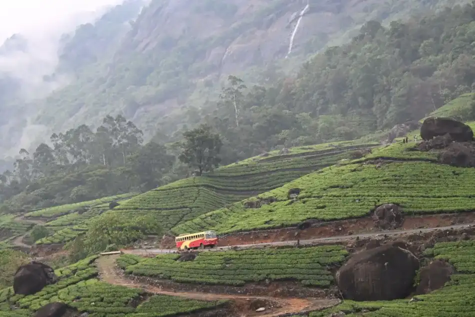 Tea terraces and a viewpoint road in Munnar