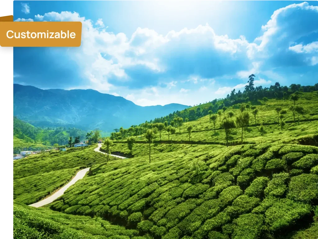 Munnar Tour Package